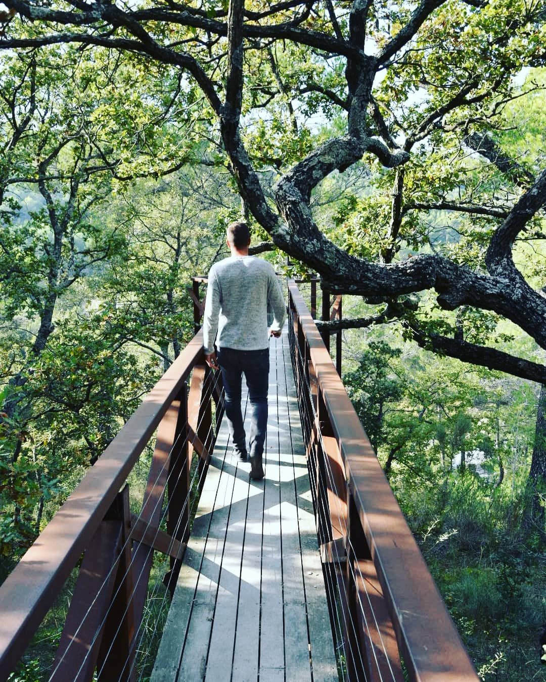 Château La Coste: le vin et l&rsquo;art contemporain.