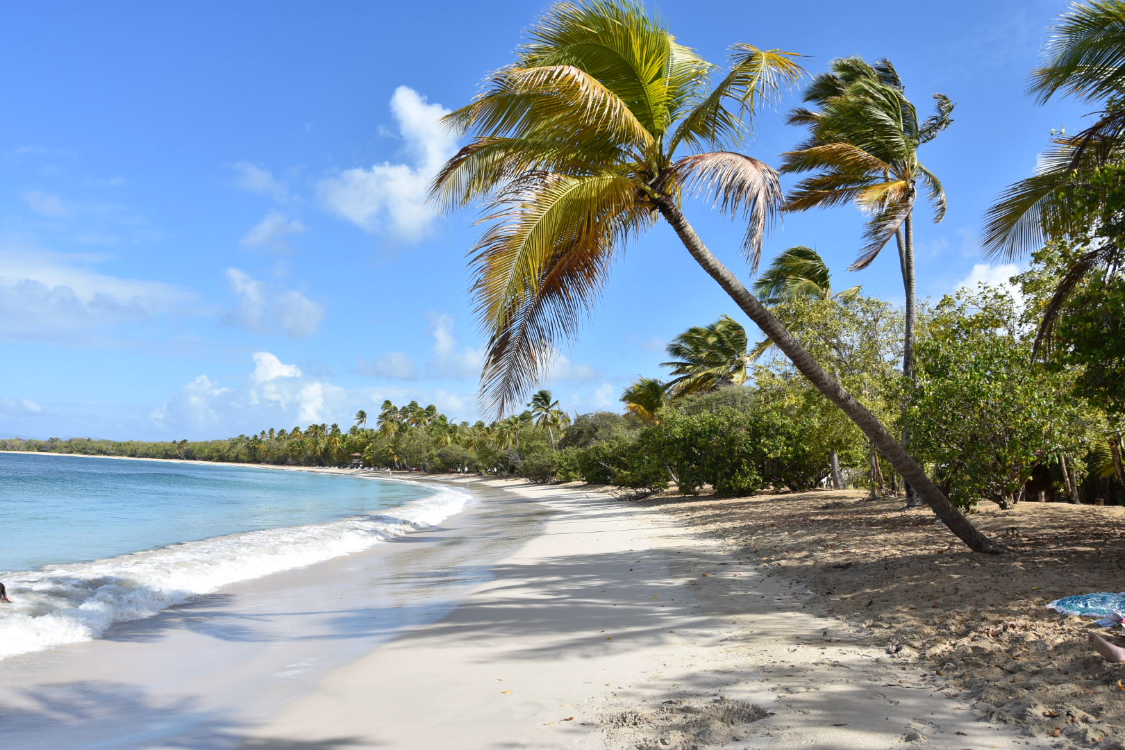 La magnifique plage des Salines en Martinique
