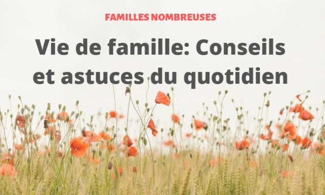 Vie de famille nombreuse Vie de famille nombreuse