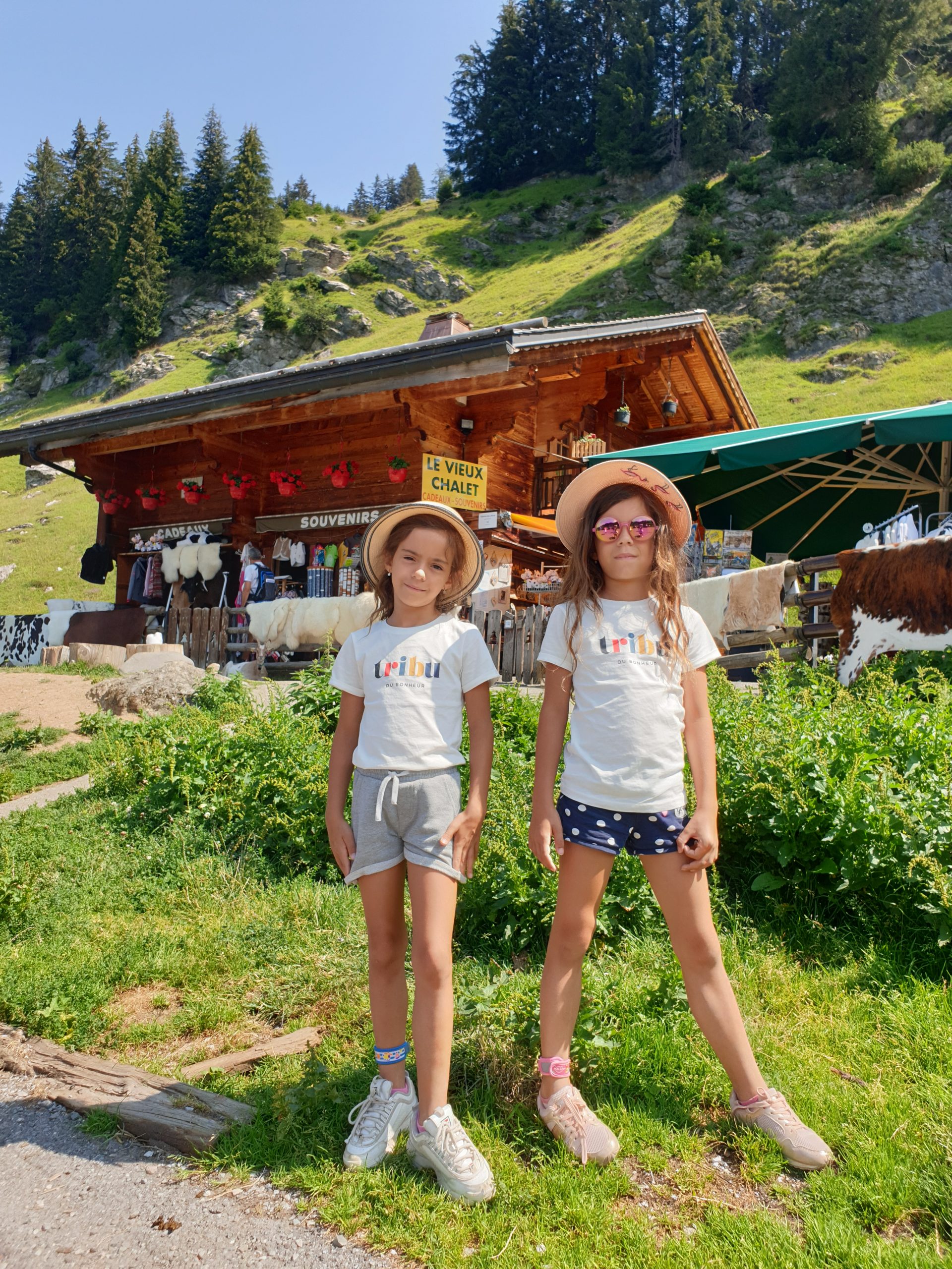 Visiter le village des chèvres Les Lindarets en Haute-Savoie