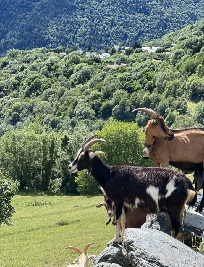 Vacances d’été en famille en Oisans dans les Alpes