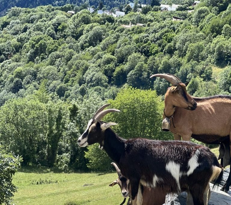Vacances d’été en famille en Oisans dans les Alpes