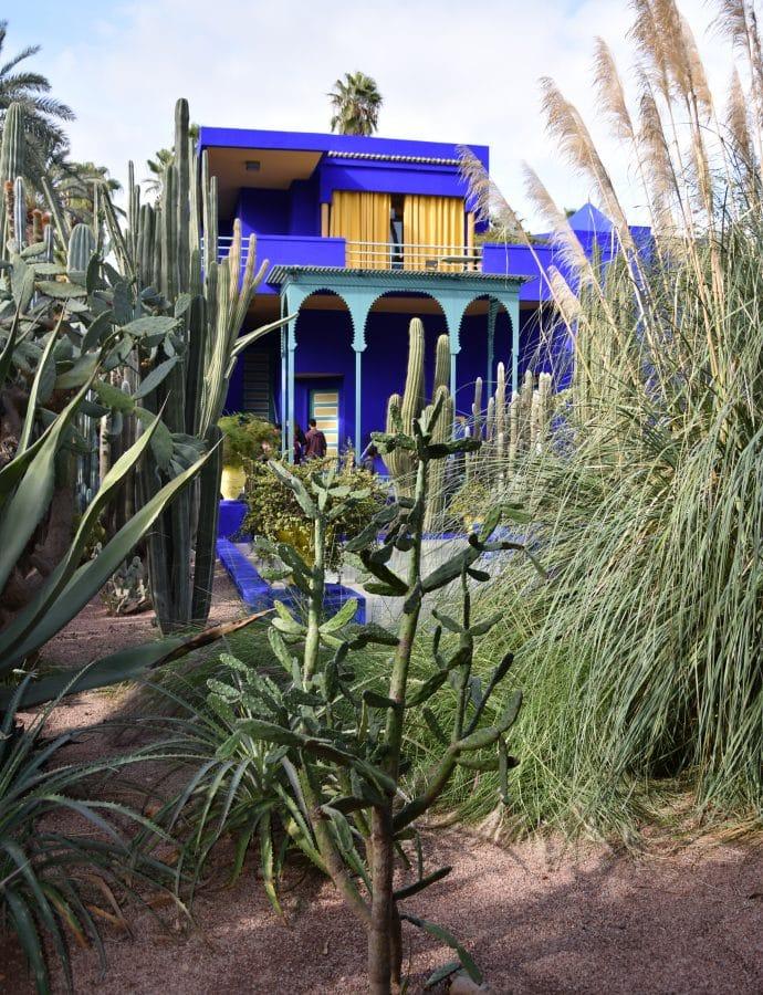 Visite du jardin Majorelle à Marrakech